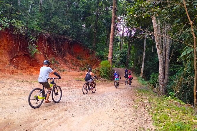 No.1 Chiang Mai: Beginner DH Mountain Biking : Doi Suthep N. Park - Transportation Options