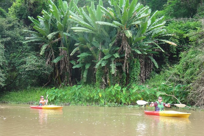 No.1 Chiang Mai: Leisure River Kayaking: Mae Taeng Forest Reserve - Daily Itinerary Highlights