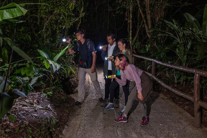 Nocturnal Walk in the Hanging Bridges - Guided Experience Details