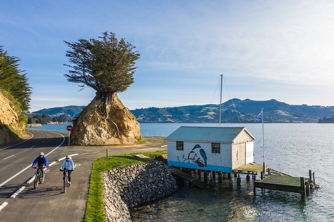 Non-Electric Bike Rental - Included Amenities for Renters