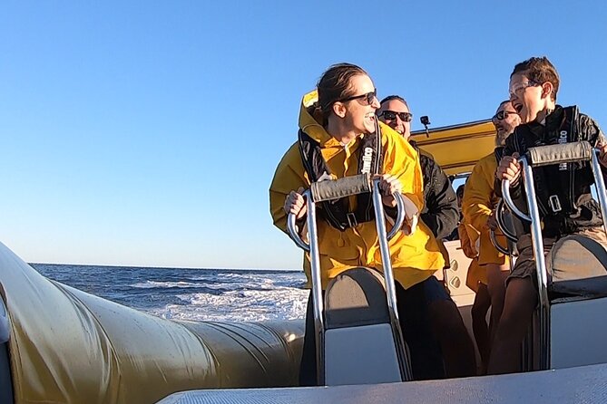 Noosa Oceanrider - Adventure Tour - Wildlife Encounters