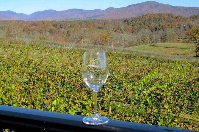 North Georgia Wine Country Tour From Atlanta - Meeting Point and Transportation