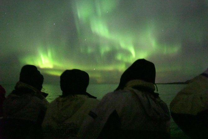 Northern Lights Cruise From Reykjavik Including Photos - Booking Process