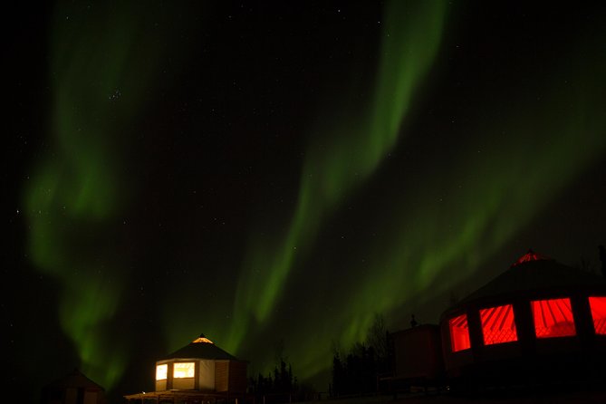 Northern Lights Viewing Including Dinner and 1-Hour Dog Sledding - Customer Reviews