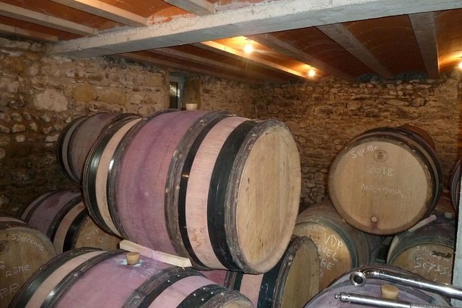 Northern Rhône Valley Wine Half Day Tour From Lyon - Unique Features of the Region