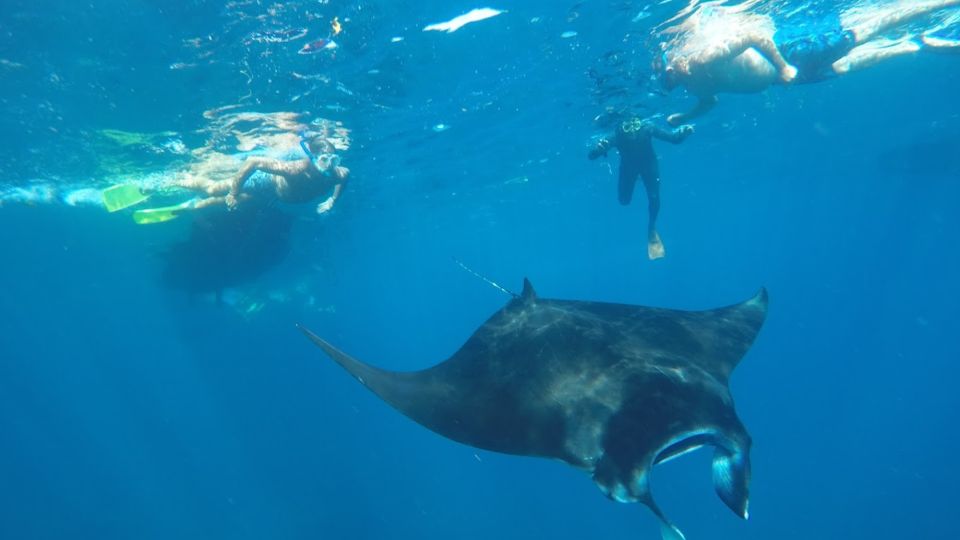 Nusa Penida: Snorkeling 3 Spots With Manta Options - Exploring Stunning Snorkeling Spots