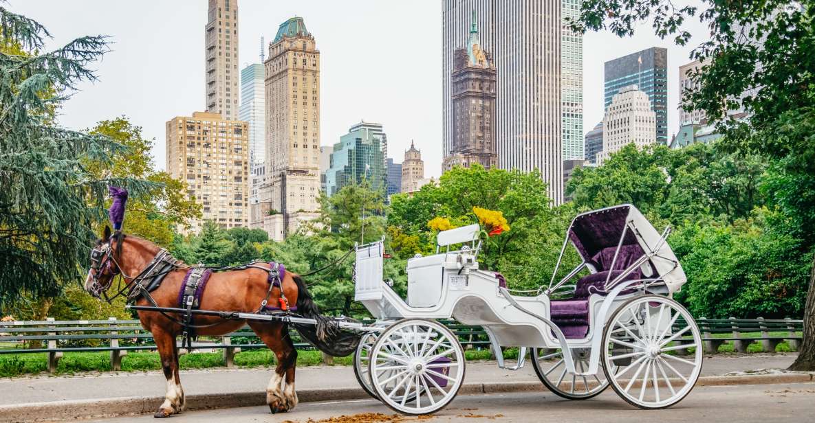 NYC: Guided Central Park Horse Carriage Ride - Guided Tour Experience