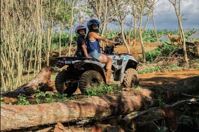 Oahu Beachfront ATV Adventure and Farm Tour - Whats Included in the Tour