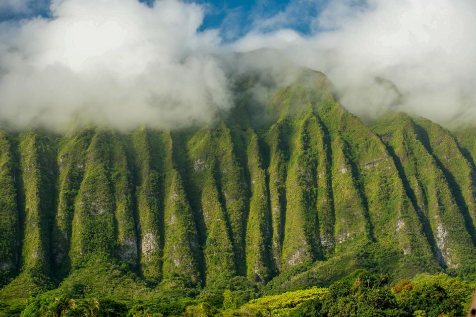 Oahu: Honolulu Sunrise Photos Tour With Malasadas - Photographer Guides