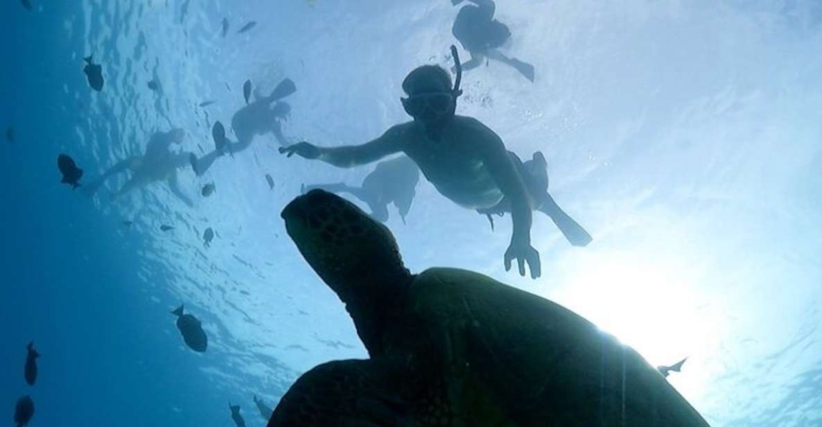 Oahu: Waikiki Turtle Snorkeling Adventure Cruise - What to Expect Onboard