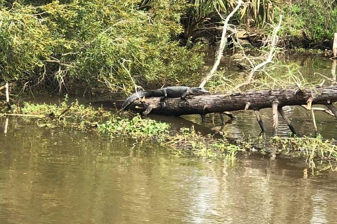 Oak Alley Plantation and Small Airboat Tour From New Orleans - Wildlife Encounters