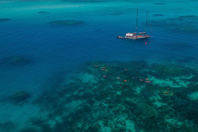 Ocean Free Green Island and Great Barrier Reef Snorkel Cruise - Health and Safety