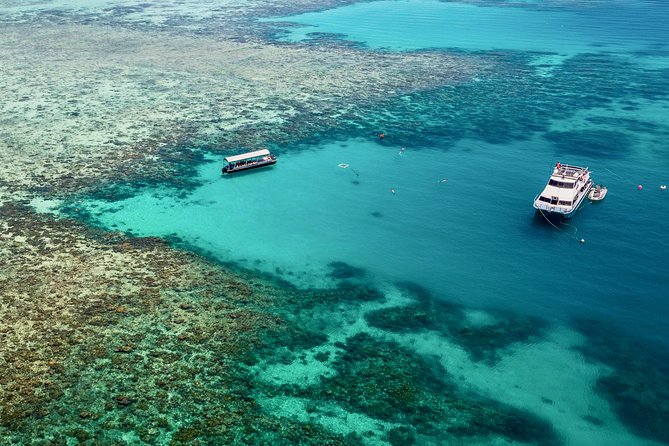 Ocean Freedom Great Barrier Reef Luxury Snorkel and Dive Cruise - Inclusions and Amenities