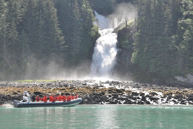 Ocean Raft Alaska - Wildlife Sightings and Photography