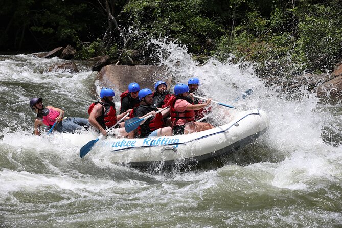 Ocoee River Middle Whitewater Rafting Trip (Most Popular Tour) - Included Tour Services