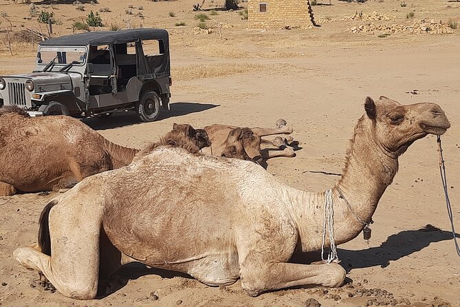 Off the Beaten Track Overnight Camel Safari Tour Jaisalmer - Optional Extras