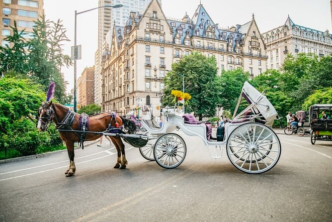 Official Private New York City Central Park Horse Carriage Ride Since 1965™ - Meeting Location