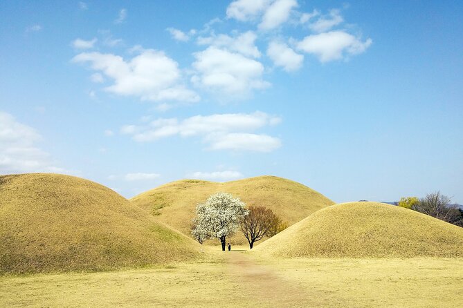 Old Korea Thousand History Tour of Gyeongju From Busan - Exploring Daereungwon Tomb Complex