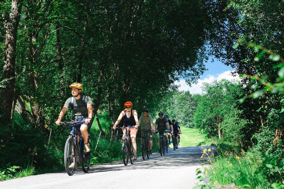 Olden: Fjord E-Bike Tour - Whats Included and Not Included