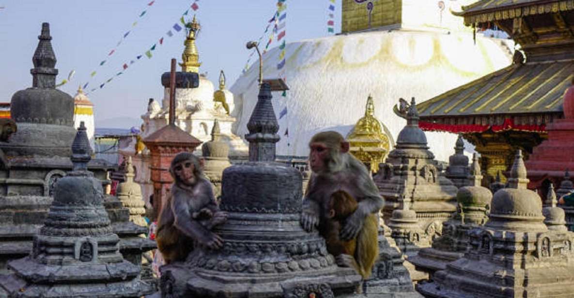 Oldest Market, Kathmandu Durbar Square & Swayambhu Walking - Inclusions and Services