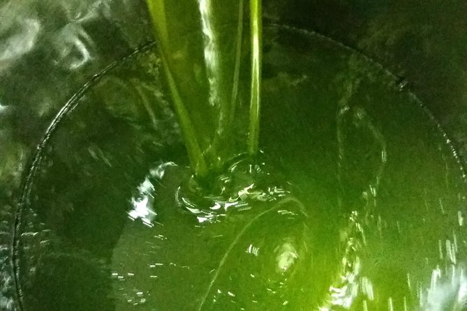 Olive Oil Tour With Tuscan Dinner - End Point of the Tour