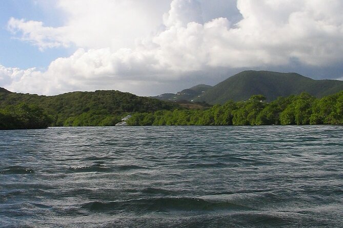 On Your Own: Kayak in the Mangrove Lagoon - Participation Requirements