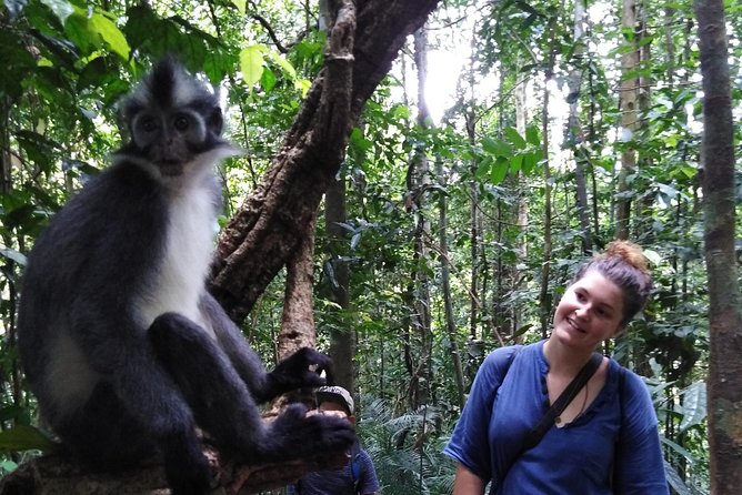 ONE DAY JUNGLE TREKKING 6-7 Hours (See Orang Utan) + RAFTING in BUKIT LAWANG - Logistics and Inclusions