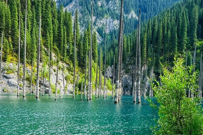 One Day Private Tour to Charyn Canyon, Kaindy and Kolsay Lakes - Pickup and Transportation
