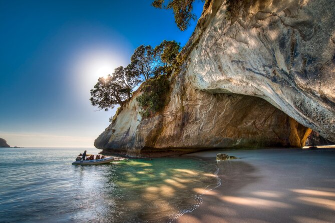 One Hour Cathedral Cove Boat Tour in Hahei - Meeting Point Details