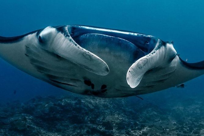 Open Water + Advanced Course - Premium Certifications Package in Nusa Lembongan - Dive Center Facilities