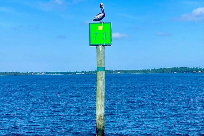 Orange Beach Dolphin Eco Boat Tour - Onboard Amenities
