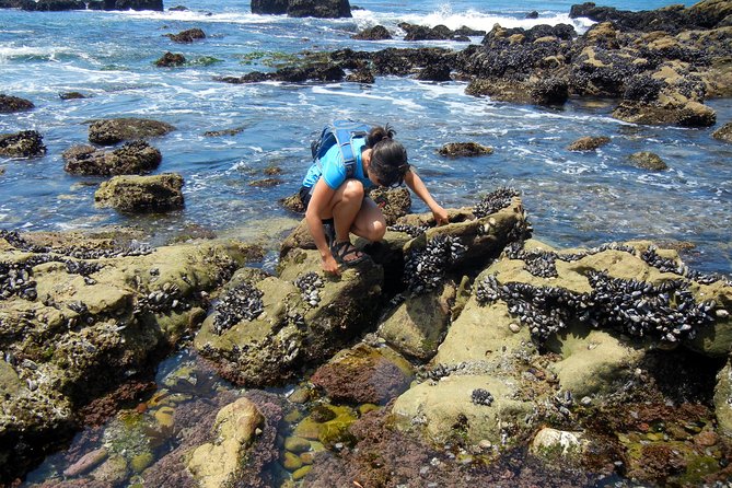 Oregon Coast Tour From Portland - Included Amenities