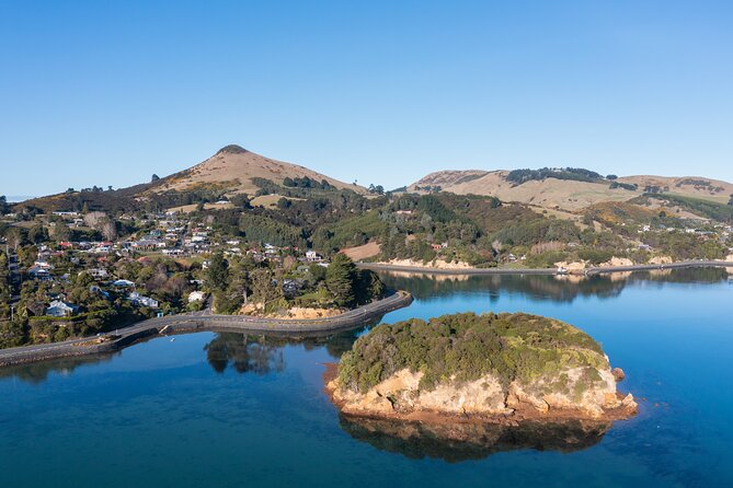 Otago Peninsula In-Depth Tour & Blue Penguins Pukekura Experience - Experience Highlights