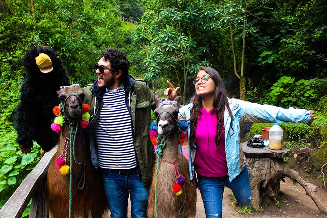 Otavalo Tour From Quito Visiting Cayambe, Indigenous Market - Reviews and Feedback