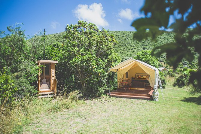 Overnight Experience Tour on Kapiti Island - Included Meals and Transportation