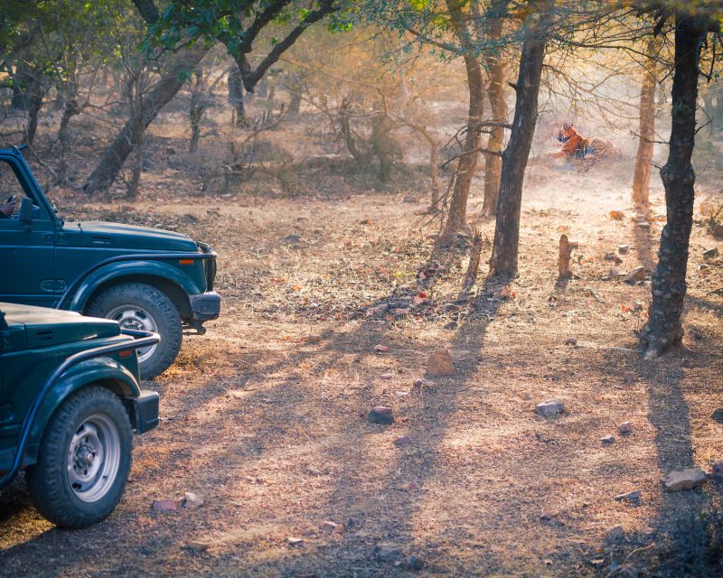 Overnight Private Tour: Jaipur - Ranthambore Tiger Safari - Day 1 Activities