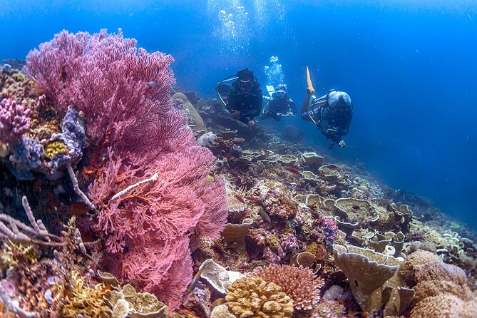 PADI Advanced Open Water Course Kota Kinabalu - Meeting Point Information