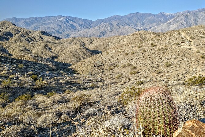 Palm Springs Hike to an Oasis and Amazing Desert Views - Hidden Palm Tree Oasis