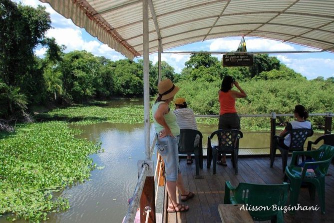 Pantanal Day Trip - All Inclusive - Leaving Campo Grande - Pickup Locations and Timing