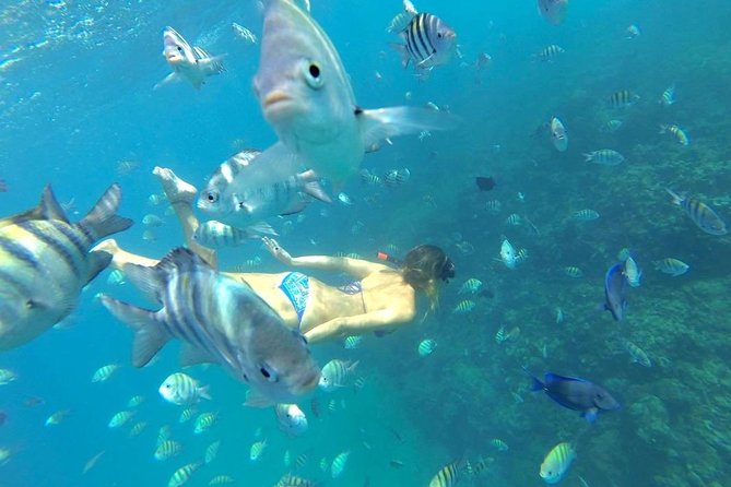 Paradise Island Puerto Plata - Activities Available on Paradise Island