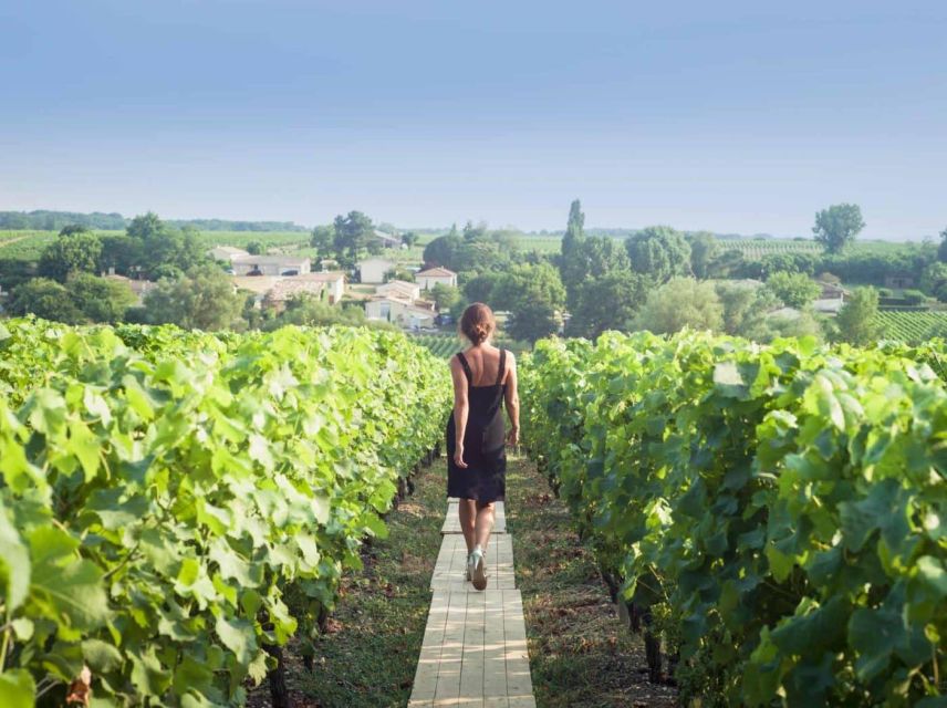 Paris: Discover the Cellars in the Countryside in Champagne - Highlights of the Tour