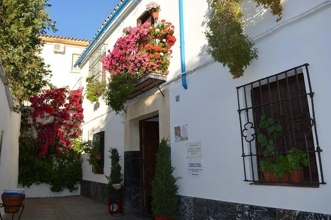 Patios & Perfums of Cordoba Festival Tour - Local Traditions and Culture