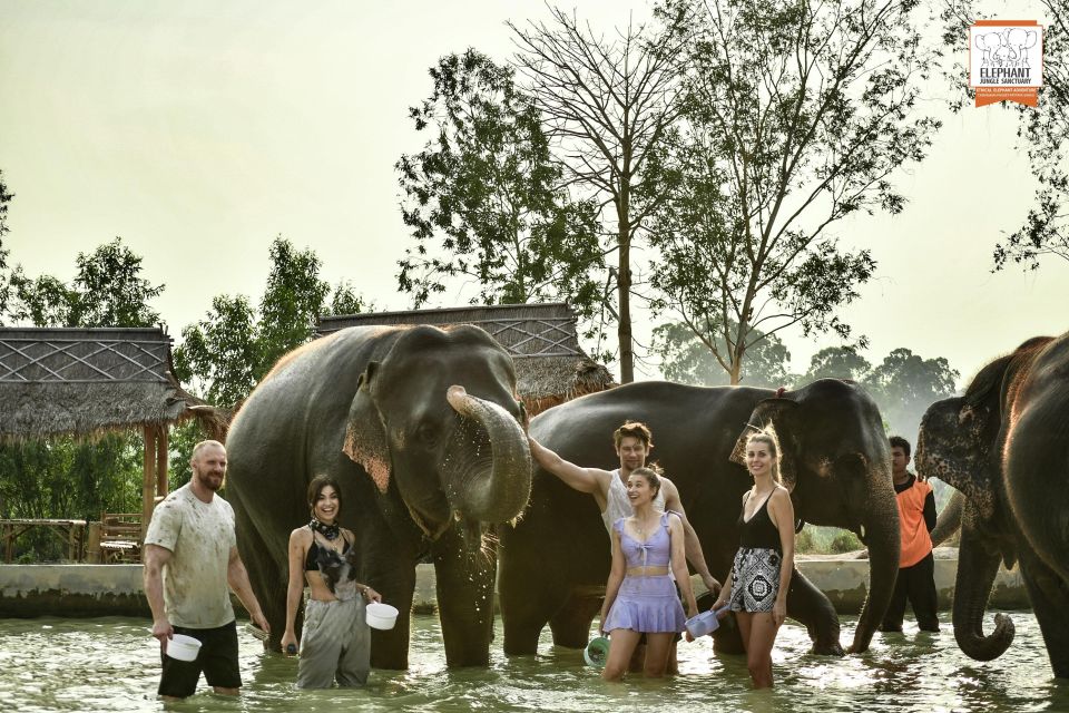 Pattaya: Elephant Jungle Sanctuary Half-Day Tour With Meal - Authentic Atmosphere and Sustainability