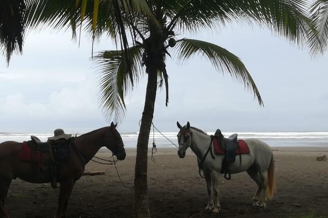 Personalized Beach Adventure Near Jaco - What to Bring for Your Ride