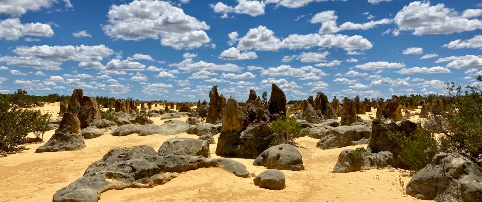 Perth: Pinnacles Desert Bush Walk Guided Tour With Lunch - Itinerary