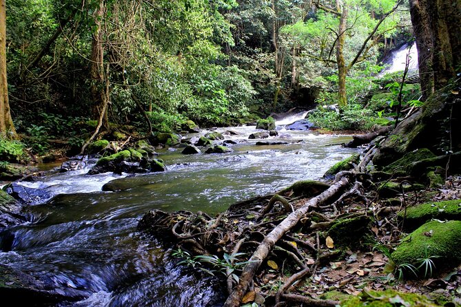 Pha Dok Siew Nature Trail & Doi Inthanon National Park From Chiang Mai - Pickup and Meeting Details