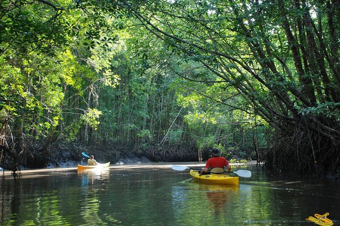 Phang Nga Bay Starlight by John Gray Sea Canoe - Wildlife Encounters