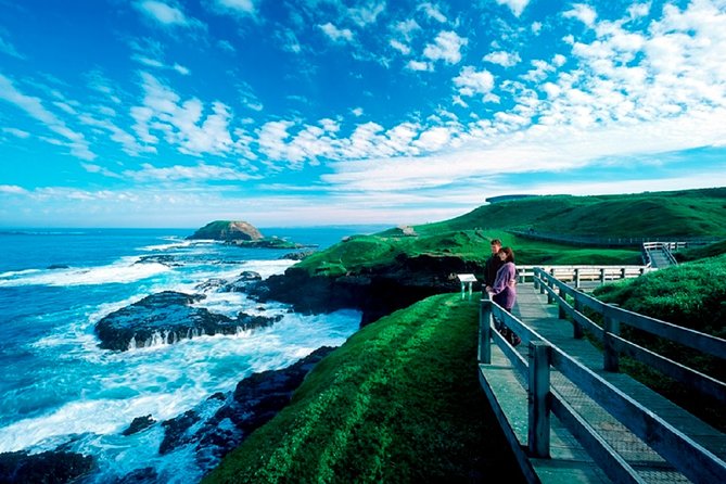 Phillip Island Penguin Parade Express Tour From Melbourne - Wildlife Viewing Highlights