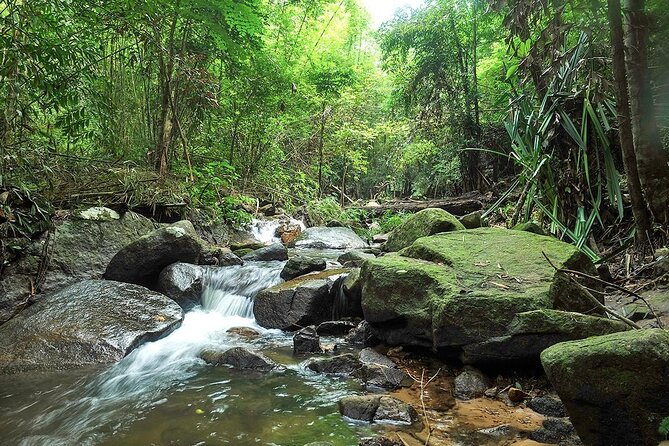 Phuket Jungle Trekking Experience at Khao Phra Taew National Park - Meeting Details
