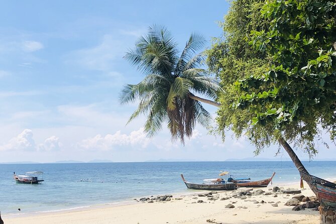 Phuket to Phi Phi Islands by Express Ferry Including Lunch - Inclusions and Logistics